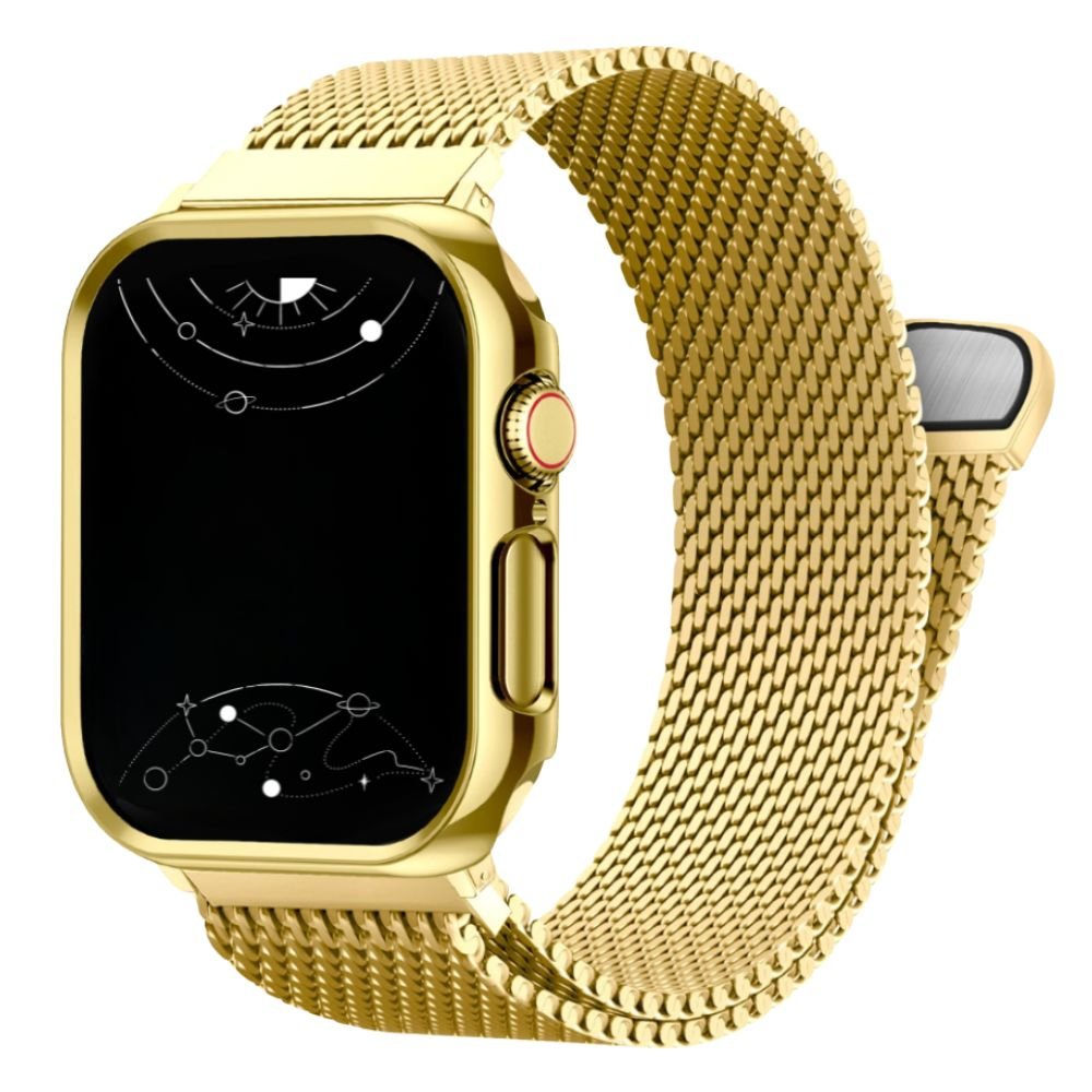 Ferrum Milanese Steel Magnetic Band With Case - Astra Straps